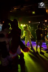 BFD5 0113 von Bastlwastl