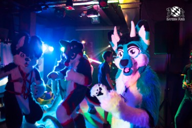 BFD5 0116 von Bastlwastl