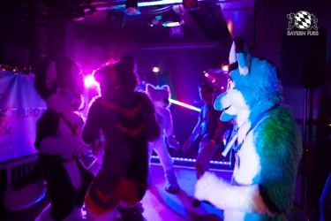 BFD5 0117 von Bastlwastl