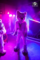 BFD5 0122 von Bastlwastl