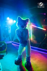 BFD5 0124 von Bastlwastl