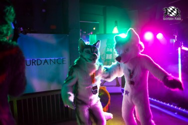 BFD5 0125 von Bastlwastl