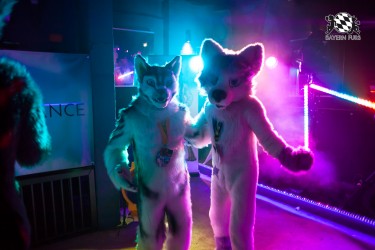 BFD5 0129 von Bastlwastl