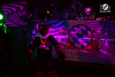 BFD5 0144 von Bastlwastl