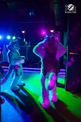 BFD5 0150 von Bastlwastl