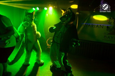 BFD5 0165 von Bastlwastl