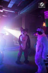 BFD5 0185 von Bastlwastl