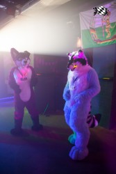 BFD5 0188 von Bastlwastl