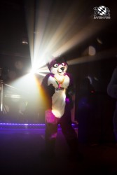 BFD5 0197 von Bastlwastl