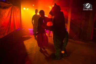 BFD5 0226 von Bastlwastl