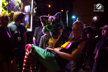 BFD5 0253 von Bastlwastl