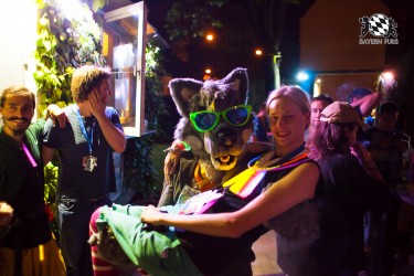 BFD5 0254 von Bastlwastl