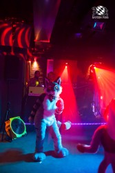 BFD5 0266 von Bastlwastl