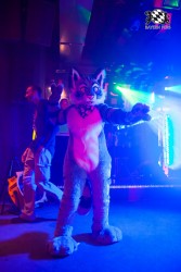 BFD5 0276 von Bastlwastl