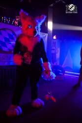 BFD5 0292 von Bastlwastl