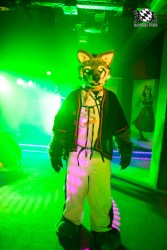 BFD5 0320 von Bastlwastl