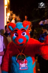 BFD5 0329 von Bastlwastl