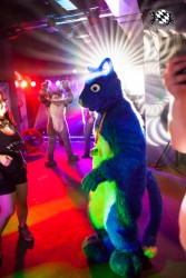 BFD5 0336 von Bastlwastl