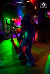 BFD5 0340 von Bastlwastl