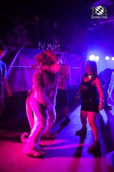 BFD5 0358 von Bastlwastl