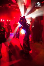 BFD5 0365 von Bastlwastl