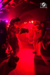 BFD5 0369 von Bastlwastl