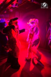 BFD5 0371 von Bastlwastl