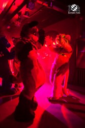 BFD5 0378 von Bastlwastl