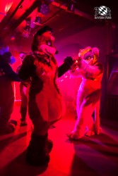 BFD5 0379 von Bastlwastl