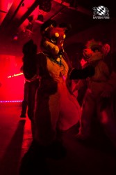 BFD5 0382 von Bastlwastl