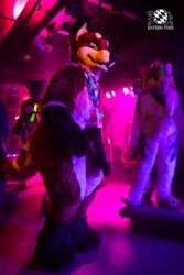 BFD5 0387 von Bastlwastl