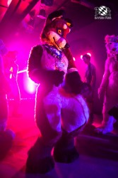 BFD5 0389 von Bastlwastl