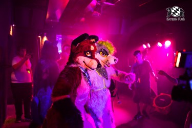 BFD5 0398 von Bastlwastl