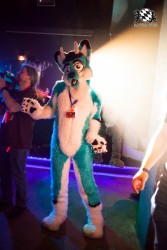 BFD5 0436 von Bastlwastl