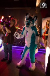 BFD5 0439 von Bastlwastl