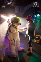 BFD5 0441 von Bastlwastl