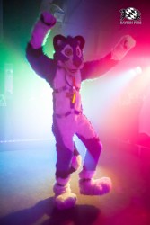 BFD5 0455 von Bastlwastl