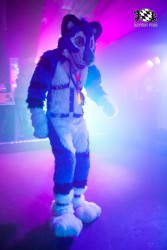 BFD5 0456 von Bastlwastl