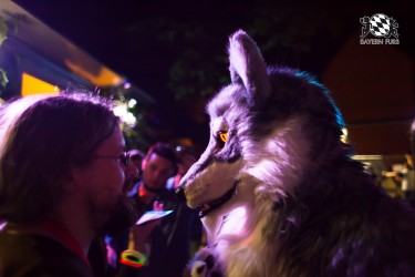 BFD5 0492 von Bastlwastl