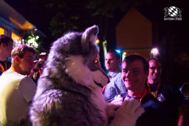 BFD5 0494 von Bastlwastl