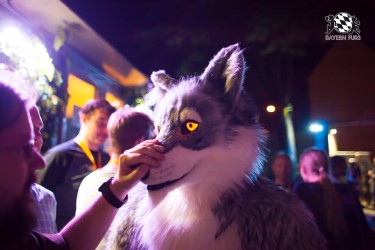 BFD5 0496 von Bastlwastl