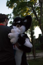 BFD5 0680 von Unbekannt