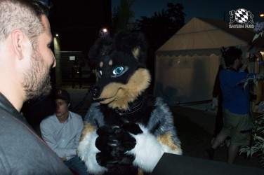 BFD5 0753 von Unbekannt