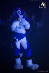 BFD6 0312 von Bastlwastl