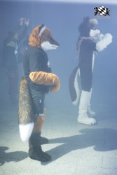 BFD6 0339 von Bastlwastl