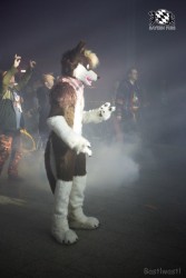 BFD6 0342 von Bastlwastl