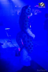 BFD6 0347 von Bastlwastl