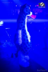 BFD6 0348 von Bastlwastl