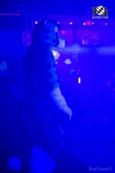 BFD6 0349 von Bastlwastl