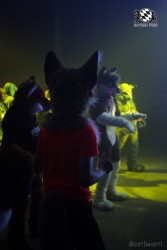 BFD6 0356 von Bastlwastl